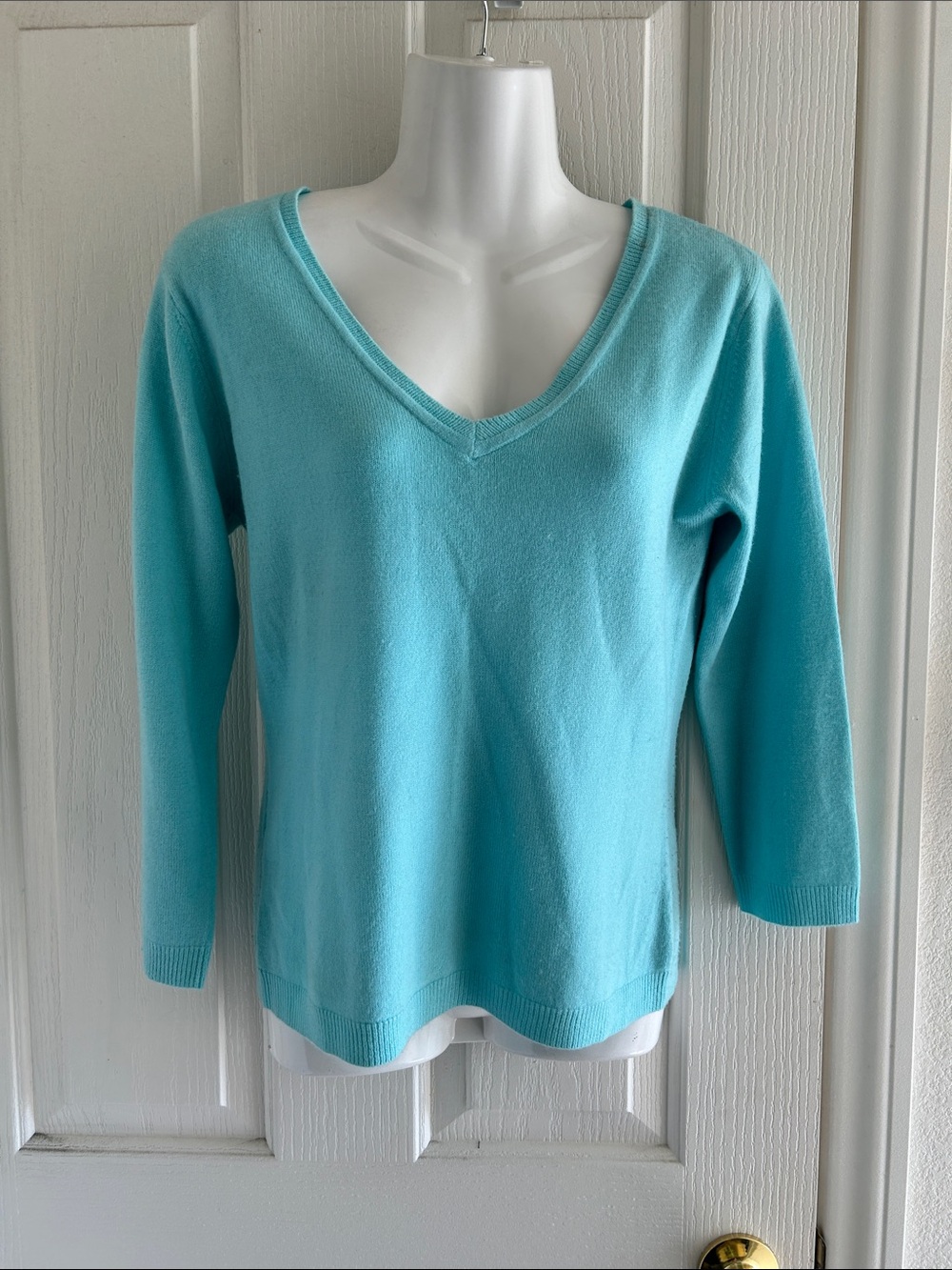 BCBG Aqua V-Neck Sweater
